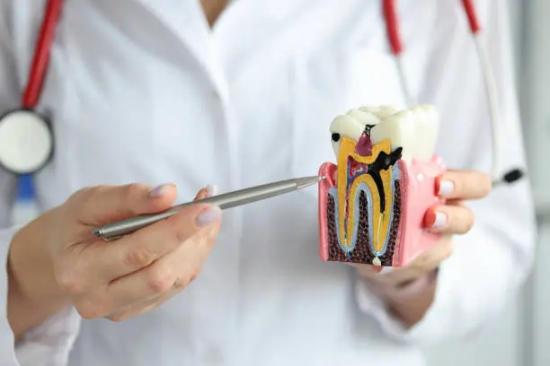 The Silent Culprits: Common Habits That Damage Your Teeth Shrewsbury
